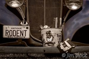 13   DJ569-Rodent.jpg